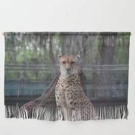 cheetah on high alert Wall Hanging