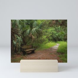 Bench in the Woods Mini Art Print