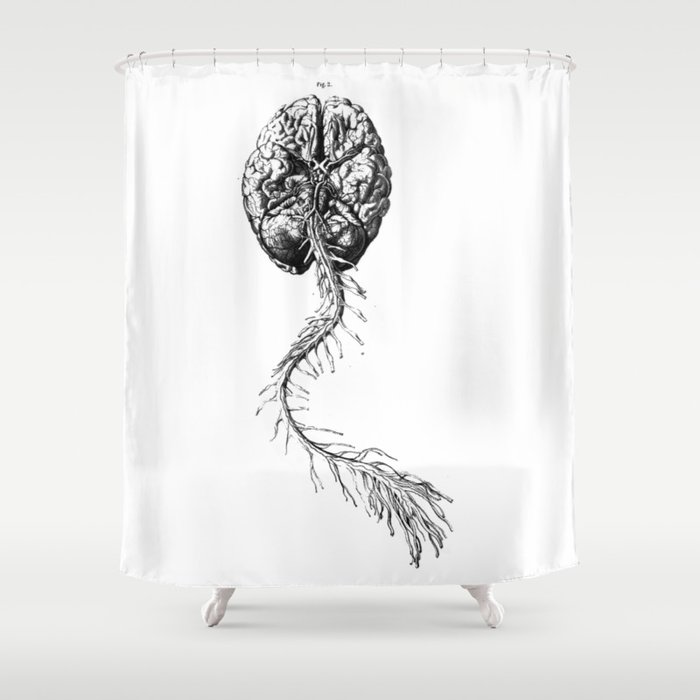 Brain Anatomy Shower Curtain By Stilleskyggerart Society6 Brain Anatomy Shower Curtain