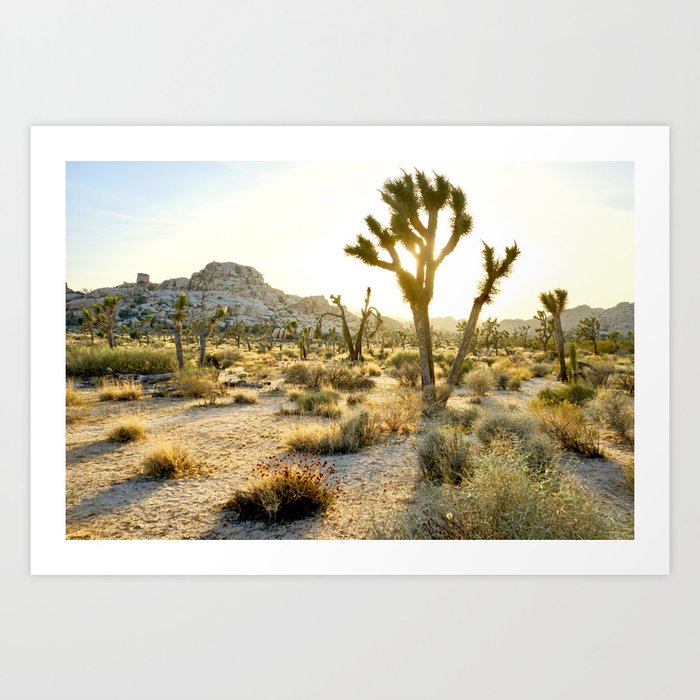 Joshua Tree Art Print by cloud museum Society6