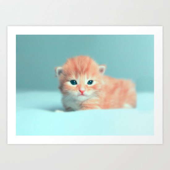 CAt Art Print