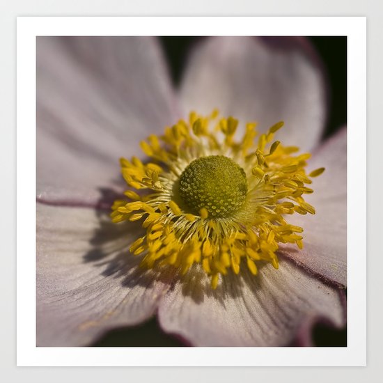 Close In Art Print