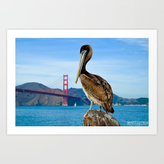 Pelican & Golden Gate Art Print