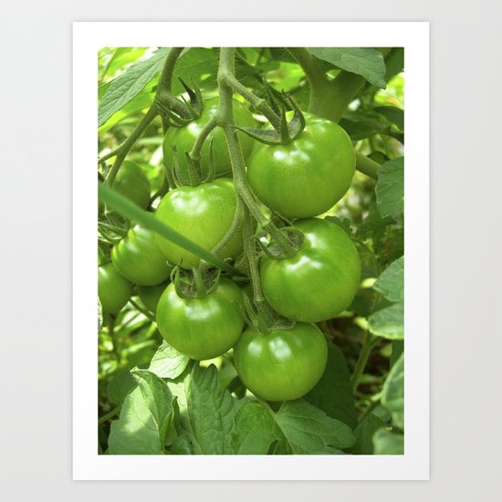green tomato II Art Print