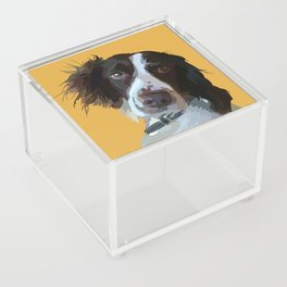 Springer Spaniel Acrylic Box