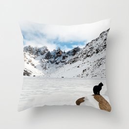 Argentina Photography - A Black Cat In The Snowy Mountain Terrain Throw Pillow