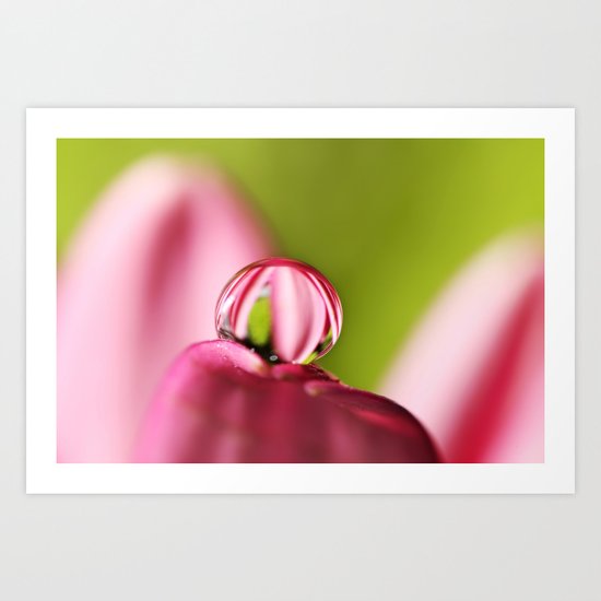 Candy Stripe with Green Art Print