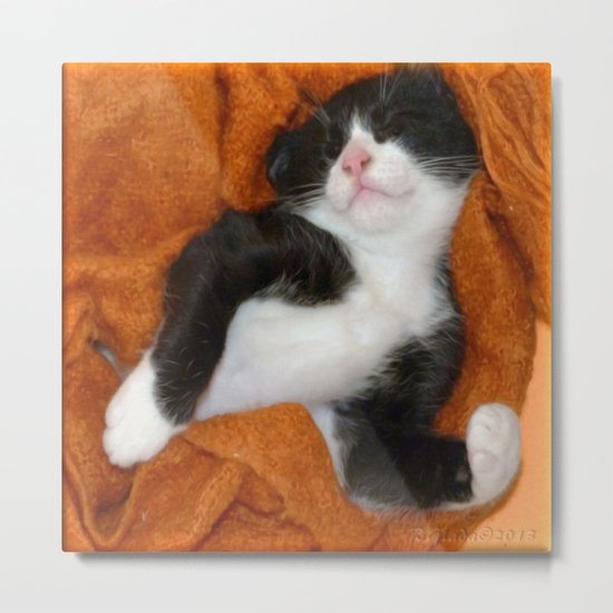Qua Metal Print