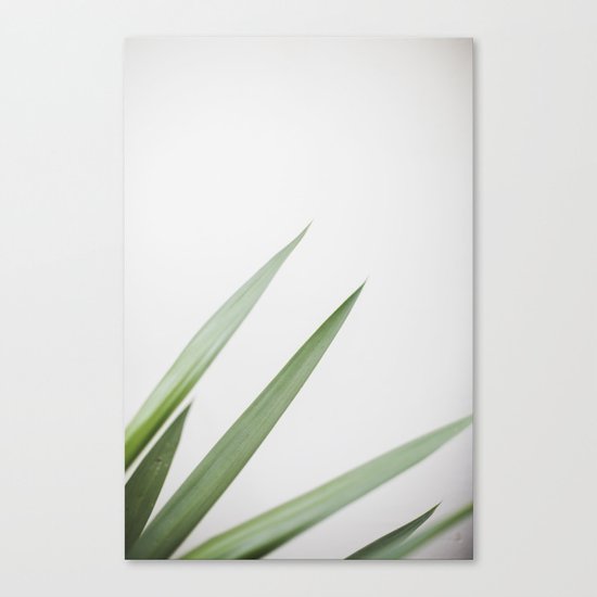 Plant Canvas Print