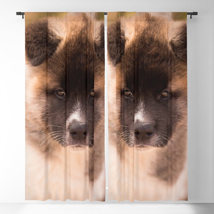 Cute American Akita Puppy #decor #society6 #buyart Blackout Curtain