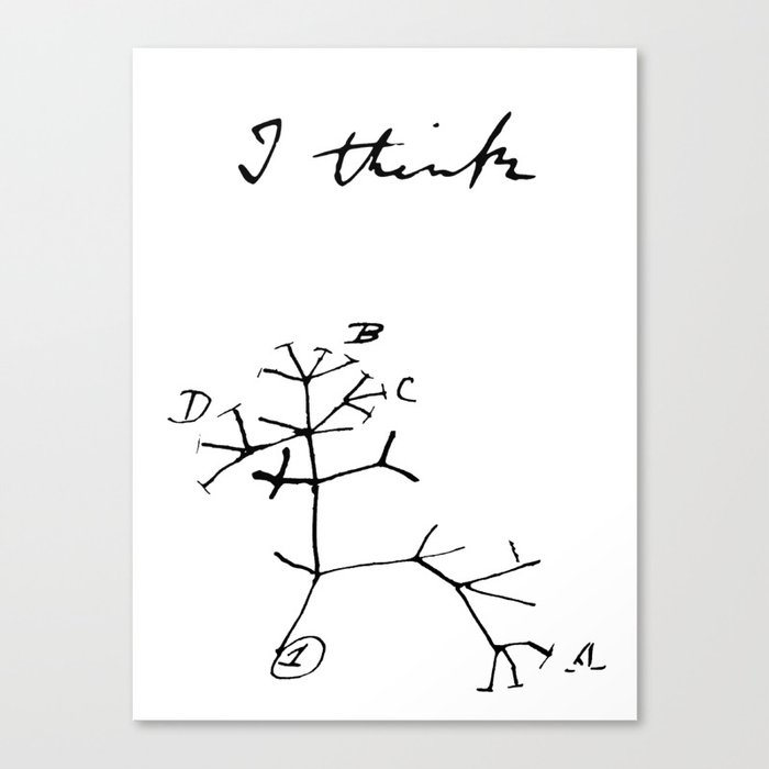 Darwin - Tree of Life - I Think Canvas Print
