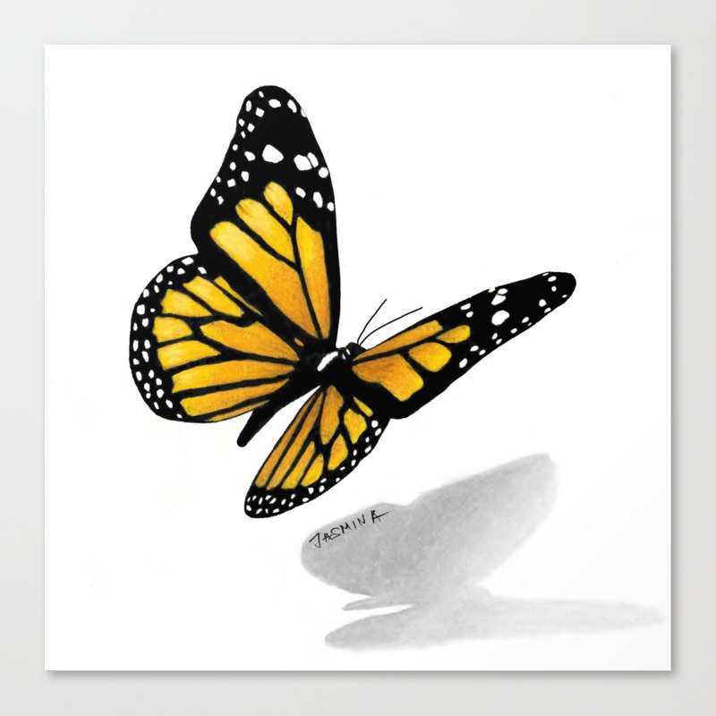 3d Butterfly Drawing Canvas Print By Jasminasusakprints Society6