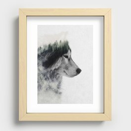 Wolf Stare Recessed Framed Print