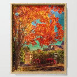 The Orange Tree of Wickham Park Celebrating Fall Foliage in New England Serving Tray