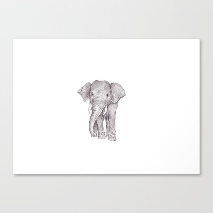 Sumatran Elephant Canvas Print