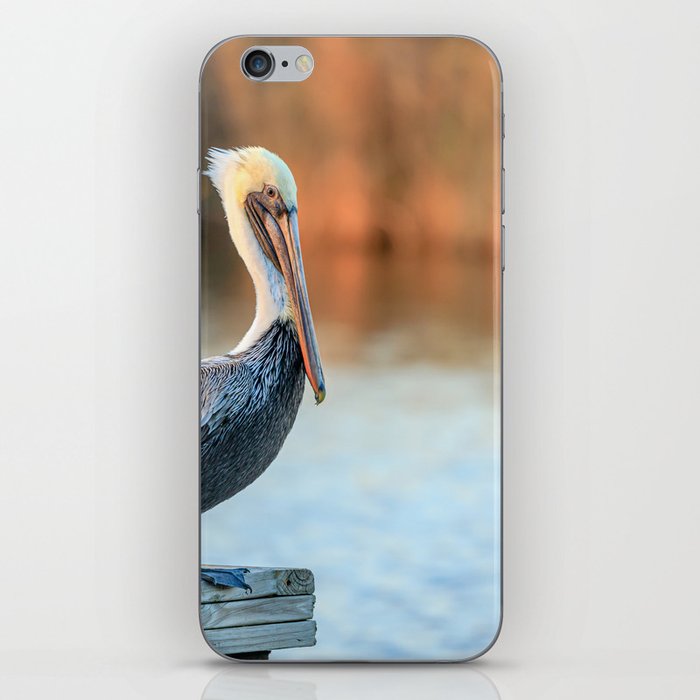Lonesome Pelican iPhone Skin