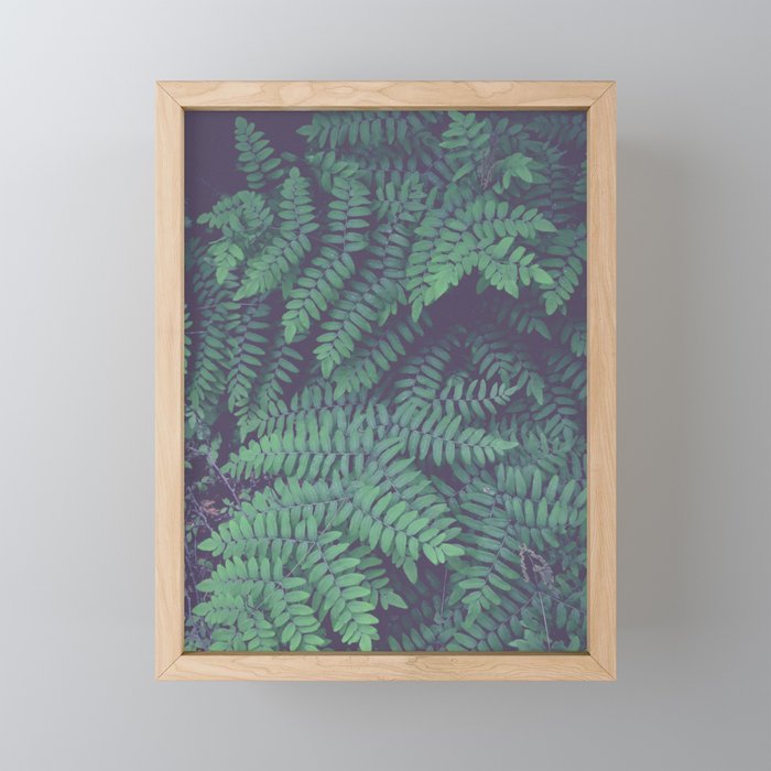 Green Woodland Fern - forest leaf nature photograph Framed Mini Art Print