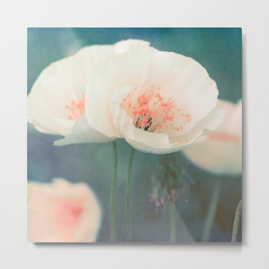 White poppies Metal Print