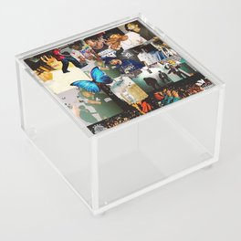 Butterfly Collage Cartis Concert Acrylic Box