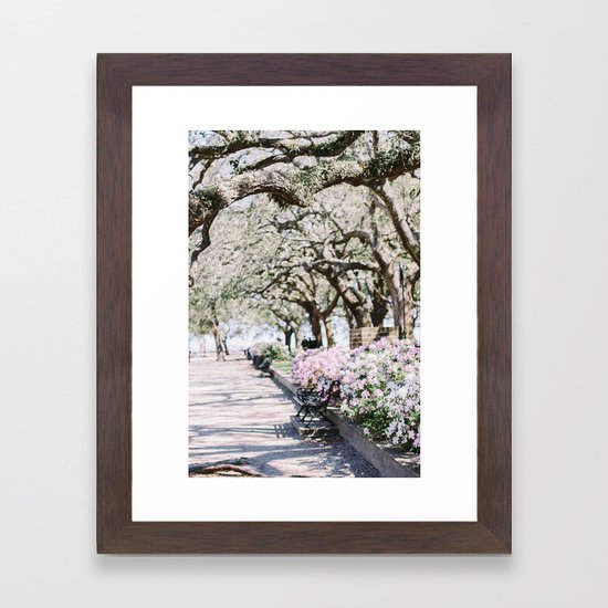Charleston Battery Park Azaleas Framed Art Print By