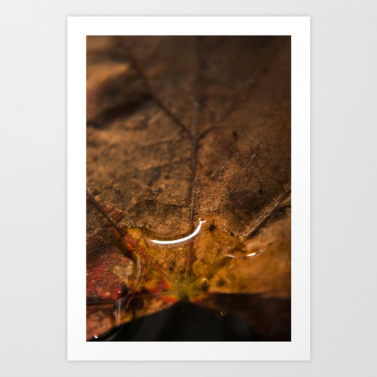 Drop Art Print