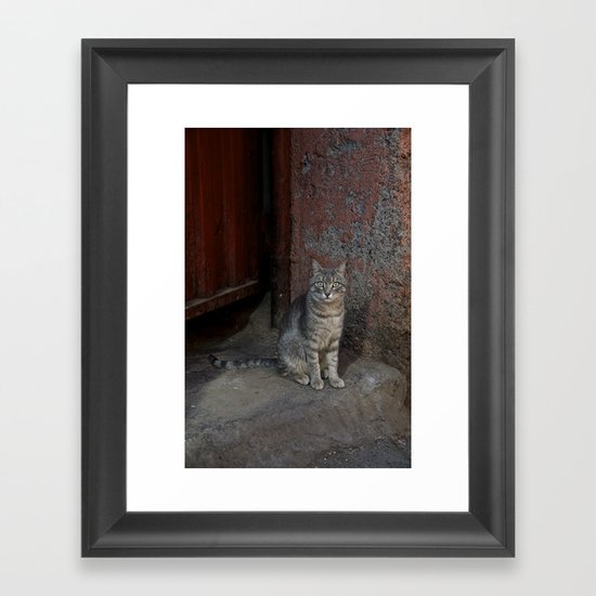 Marrakesh Cat Framed Art Print