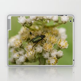 Flower and Beetle Laptop Skin