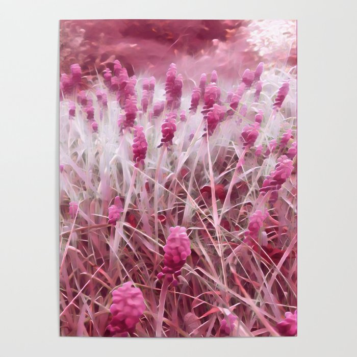 Pink Magic Fields  Poster