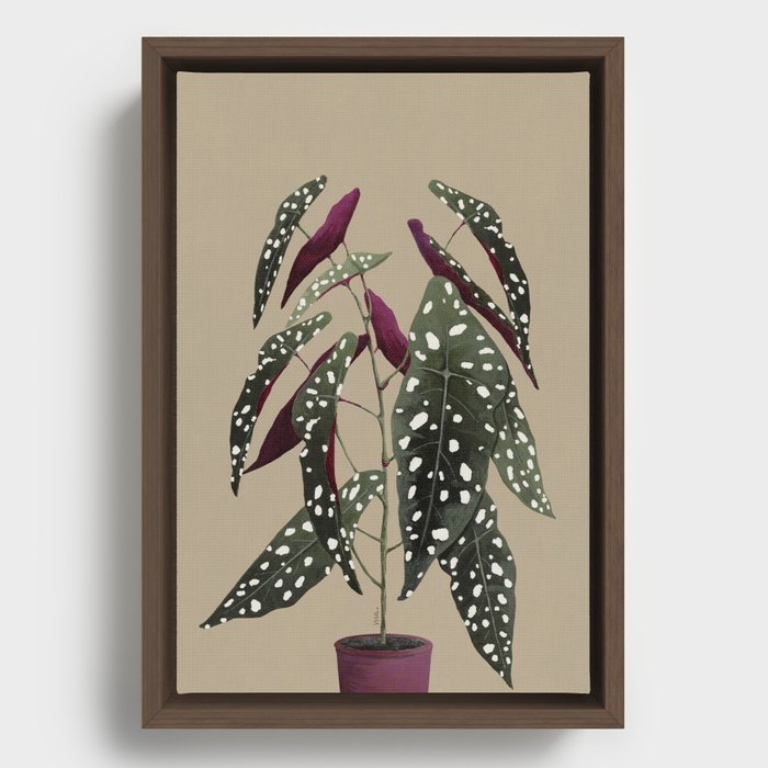 Begonia - Bege Framed Canvas