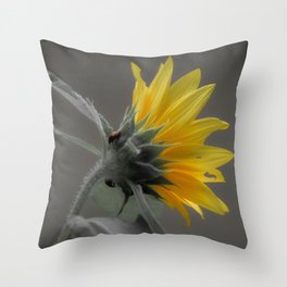 Sunflowers & Lady Bugs Throw Pillow