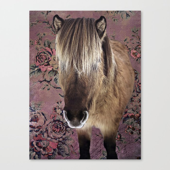 Icelandic pony with rosy posies Canvas Print