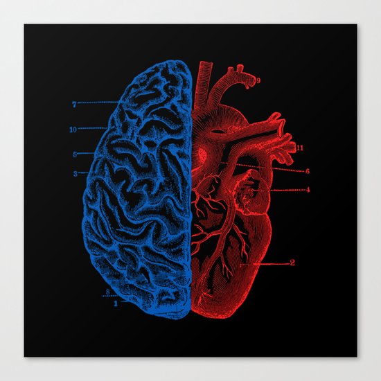 Heart and Brain Canvas Print