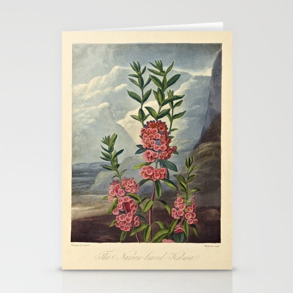 Kalmia from "The Temple of Flora," 1812 (benefitting The Nature Conservancy) Stationery Cards