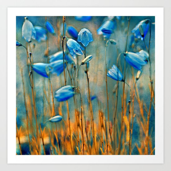 Bluebells. Art Print