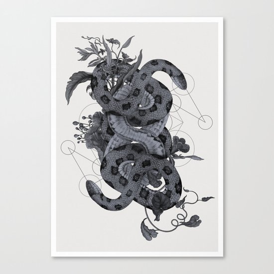 The Panoply Plate 07 Canvas Print