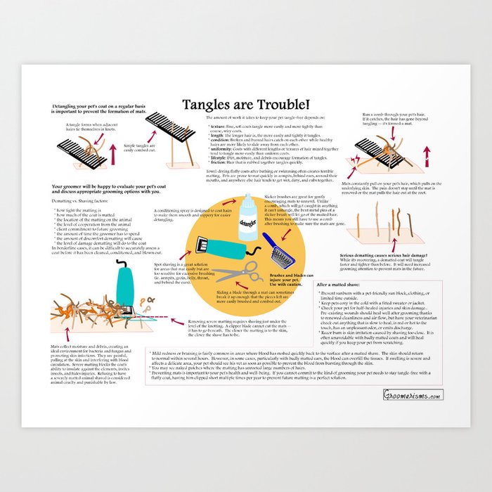 Tangles are Trouble - Infographic about Grooming Matted Pets Art Print