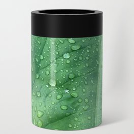 Raindrops on Green Leaf Can Cooler