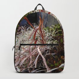 Dry Grass, Moss, and Rock Backpack