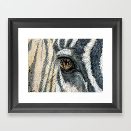 Zebra 808 Framed Art Print