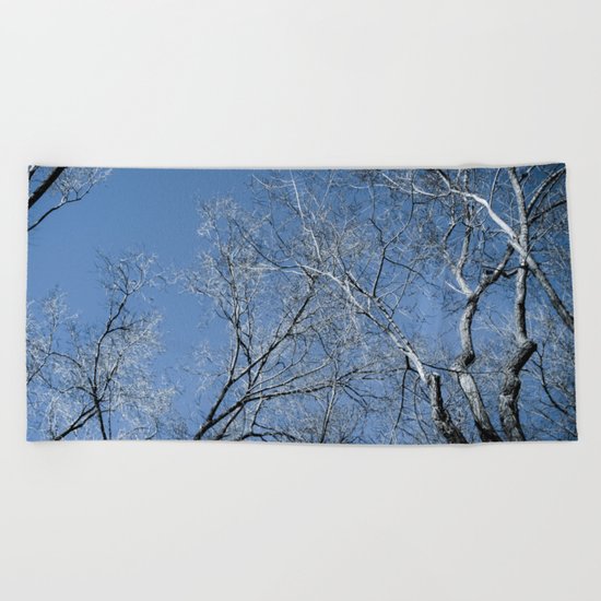 Landscape in the winter - 2 Beach Towel