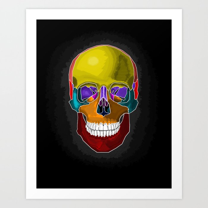 Skull Anatomy Art Print