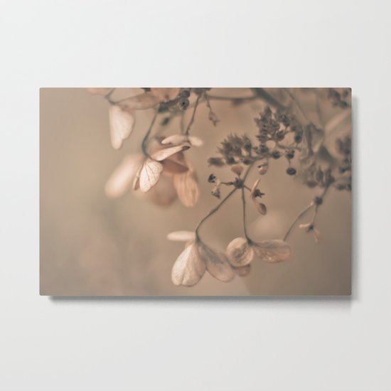 Daydream in Pink Metal Print