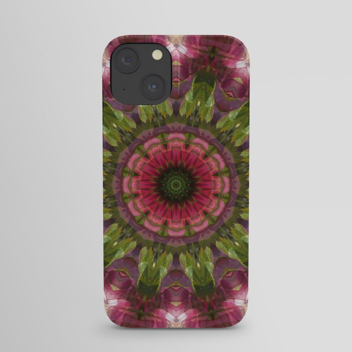 Nature Kaleidoscope 06 iPhone Case