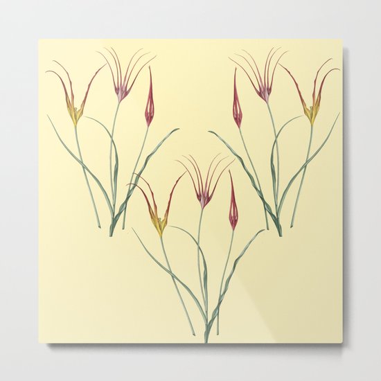 Tulip togetherness Metal Print