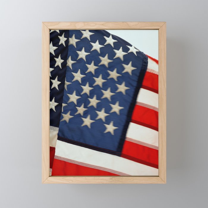 Americana Framed Mini Art Print