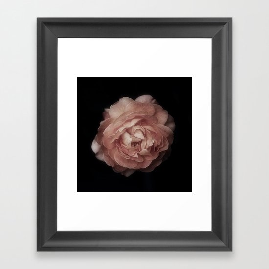 Rose in Black Framed Art Print