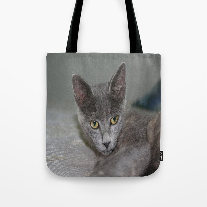 Beautiful Portrait of A Grey Russian Cross Tabby Cat  Tote Bag