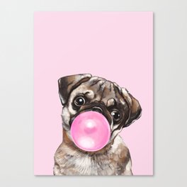 Pug with Pink Bubble Gum Canvas Print