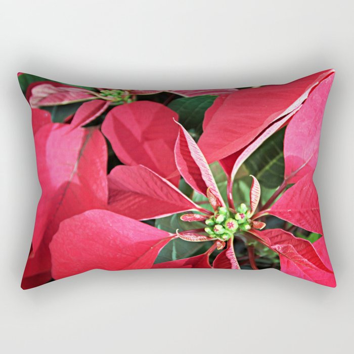 Red Poinsettia Rectangular Pillow