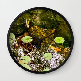 Baby Koi Pond Wall Clock